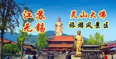 亚洲骚屄江苏无锡灵山大佛旅游风景区