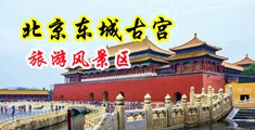 淫穴毛黑中国北京-东城古宫旅游风景区